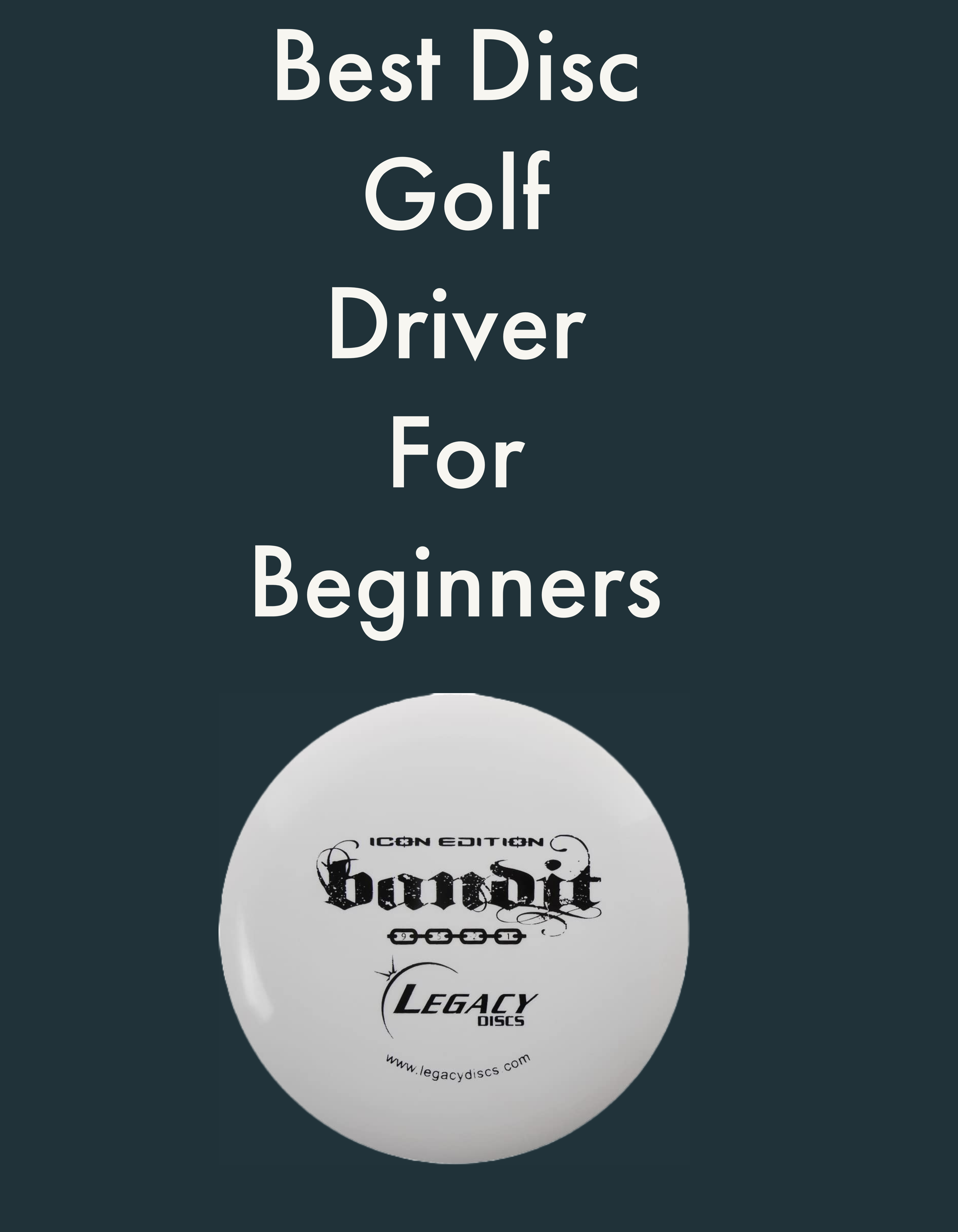 Best Disc Golf Driver For Beginners