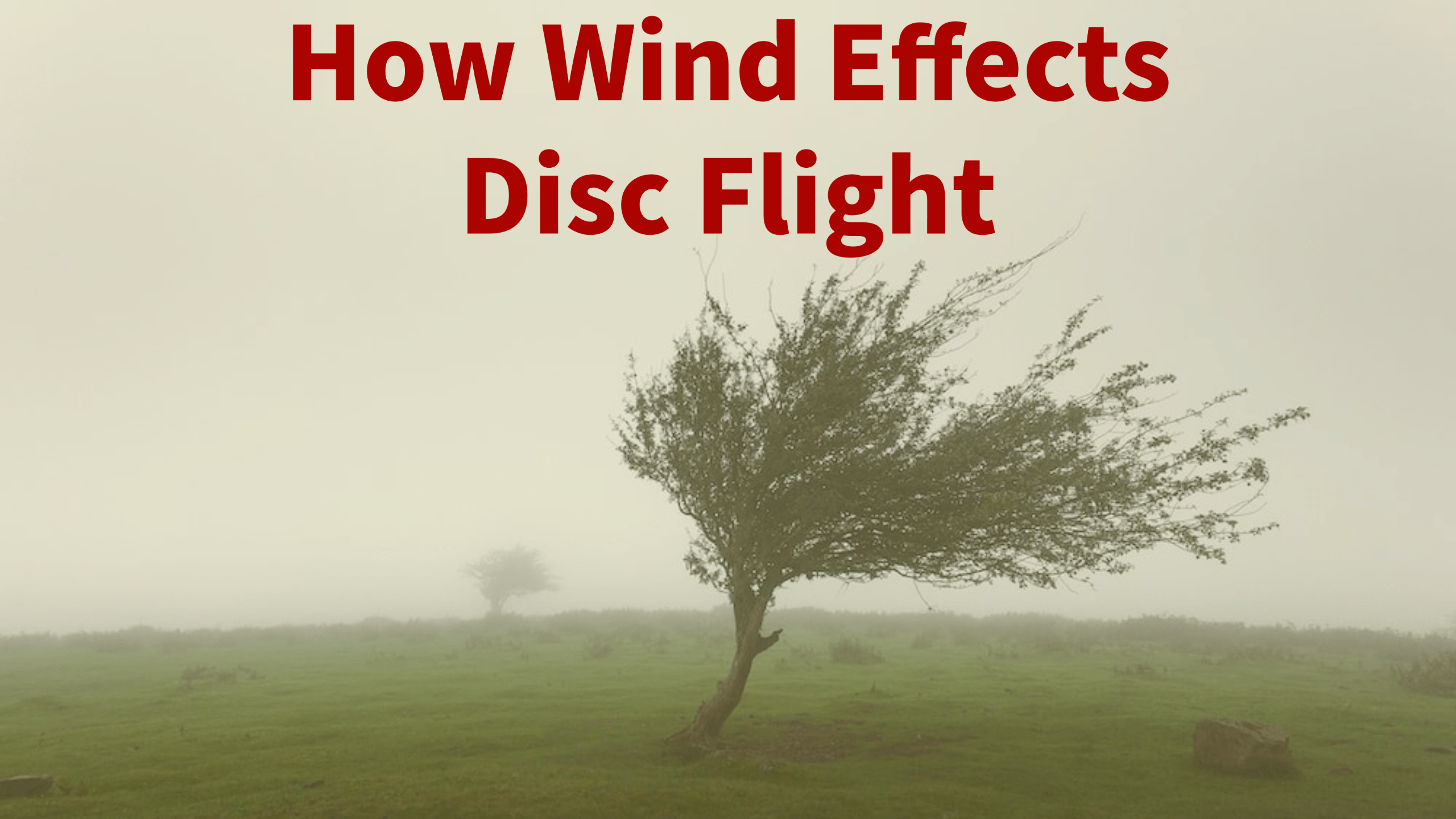 How Does Wind Effect Disc Flight