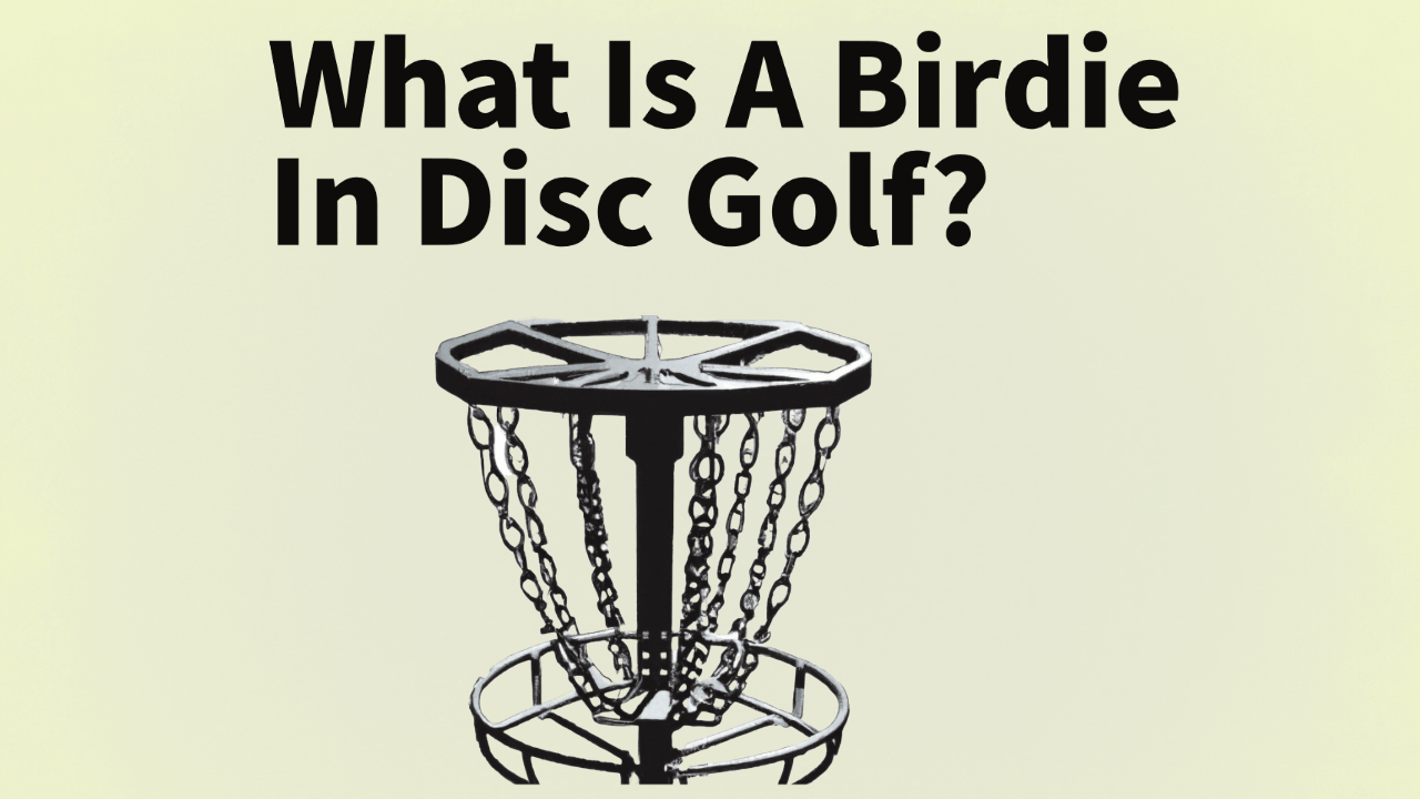 What Is A Birdie In Disc Golf