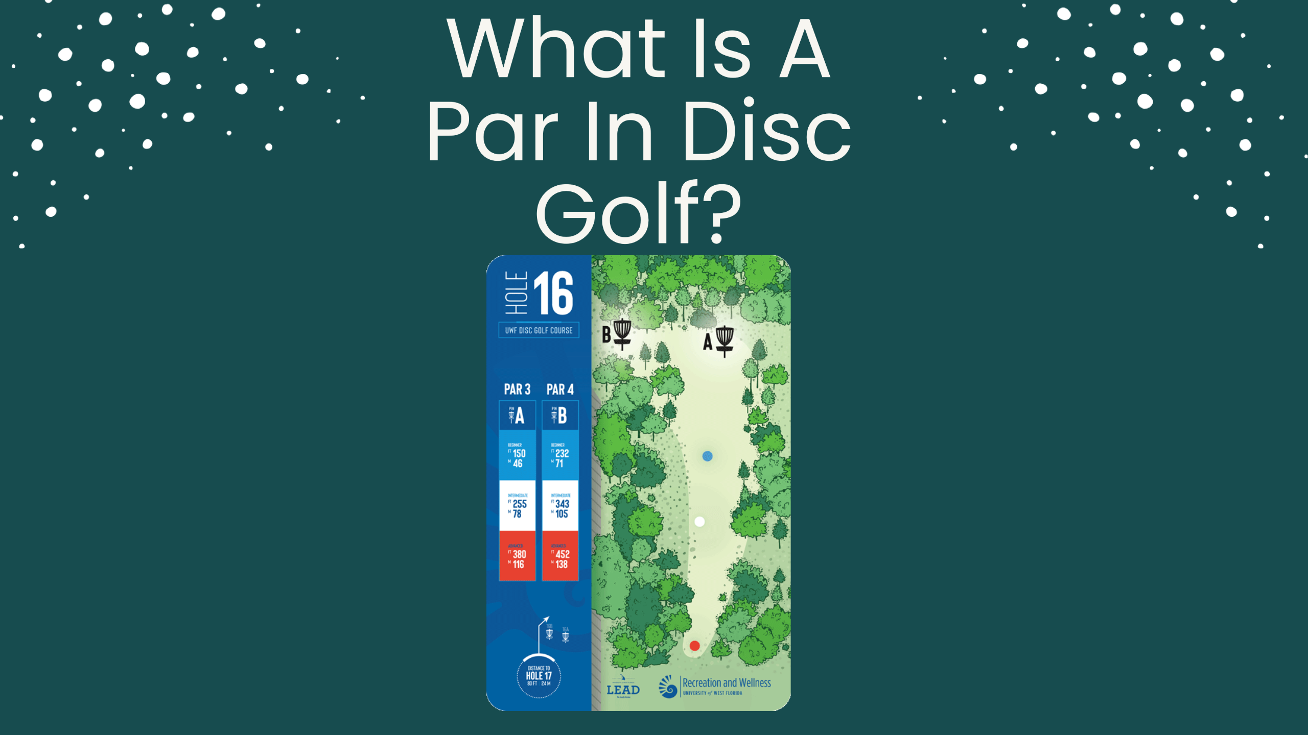 What Is A Par In Disc Golf Explained